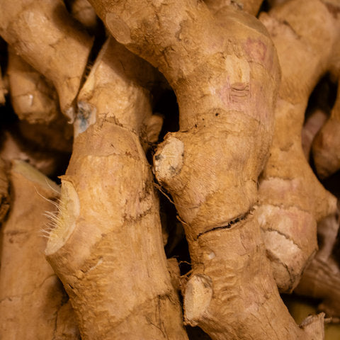 Ginger